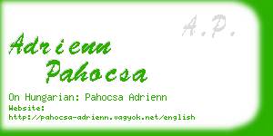 adrienn pahocsa business card